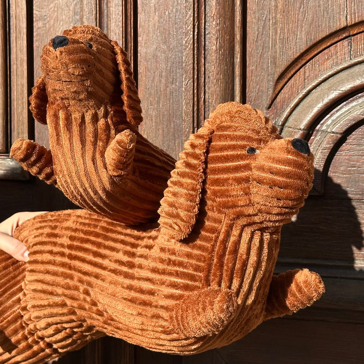 Coussin chien Teckel confort - Biche Dogshop