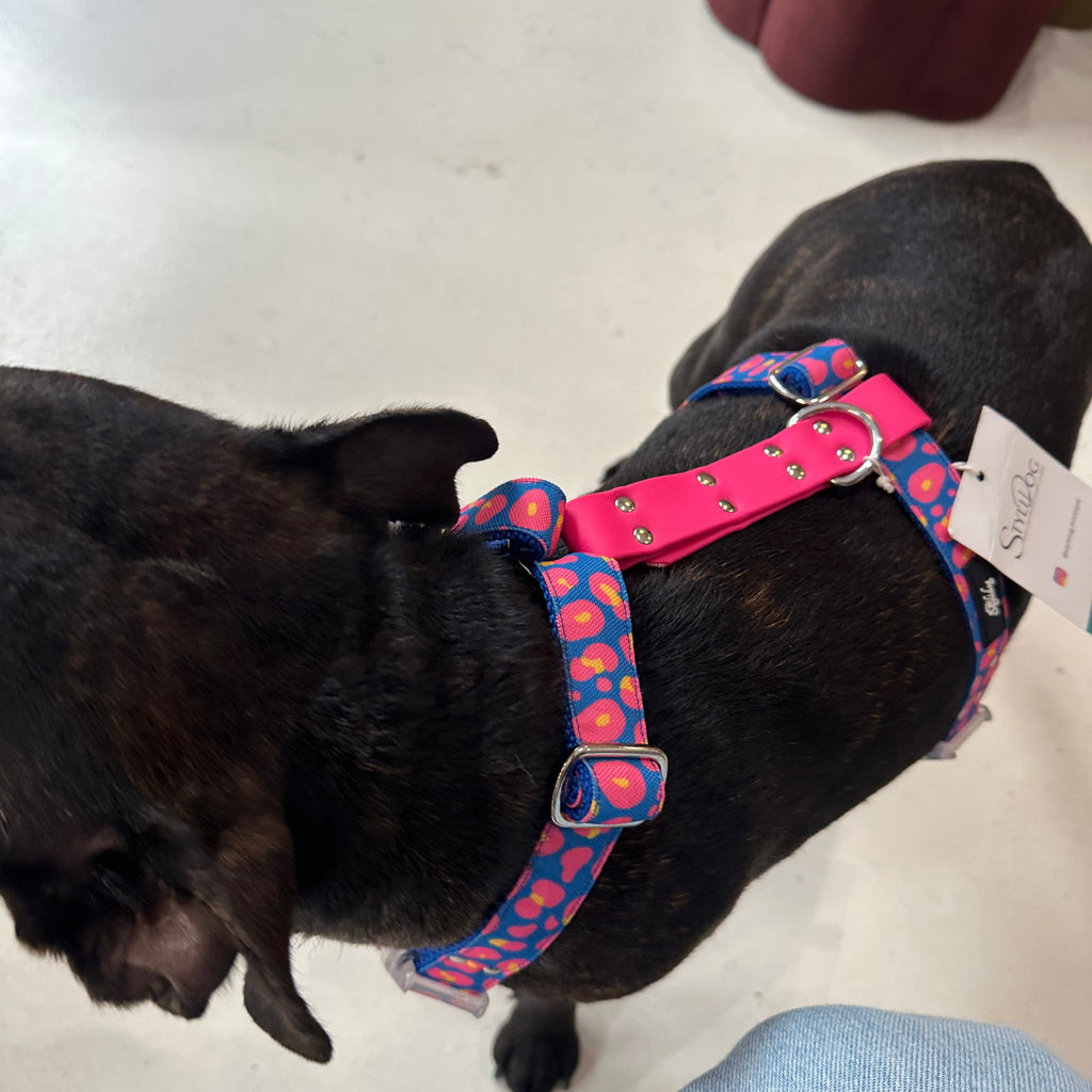 Harnais - Leopard bleu & rose - StyliDog