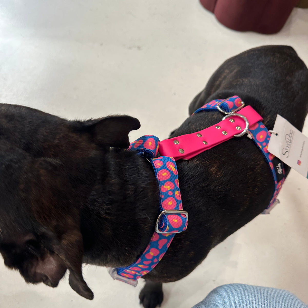 Harnais - Leopard bleu & rose - StyliDog