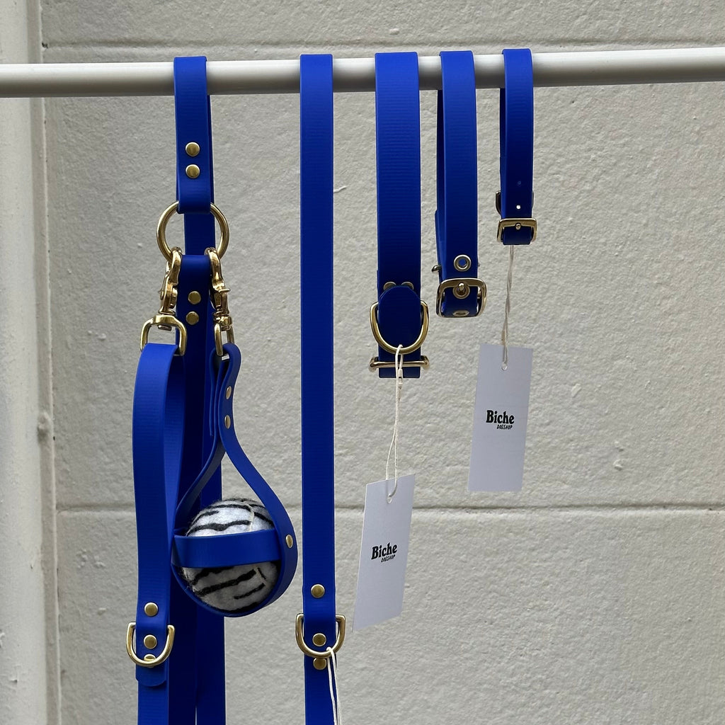 Collier chien en Biothane - Bleu roi - By Biche