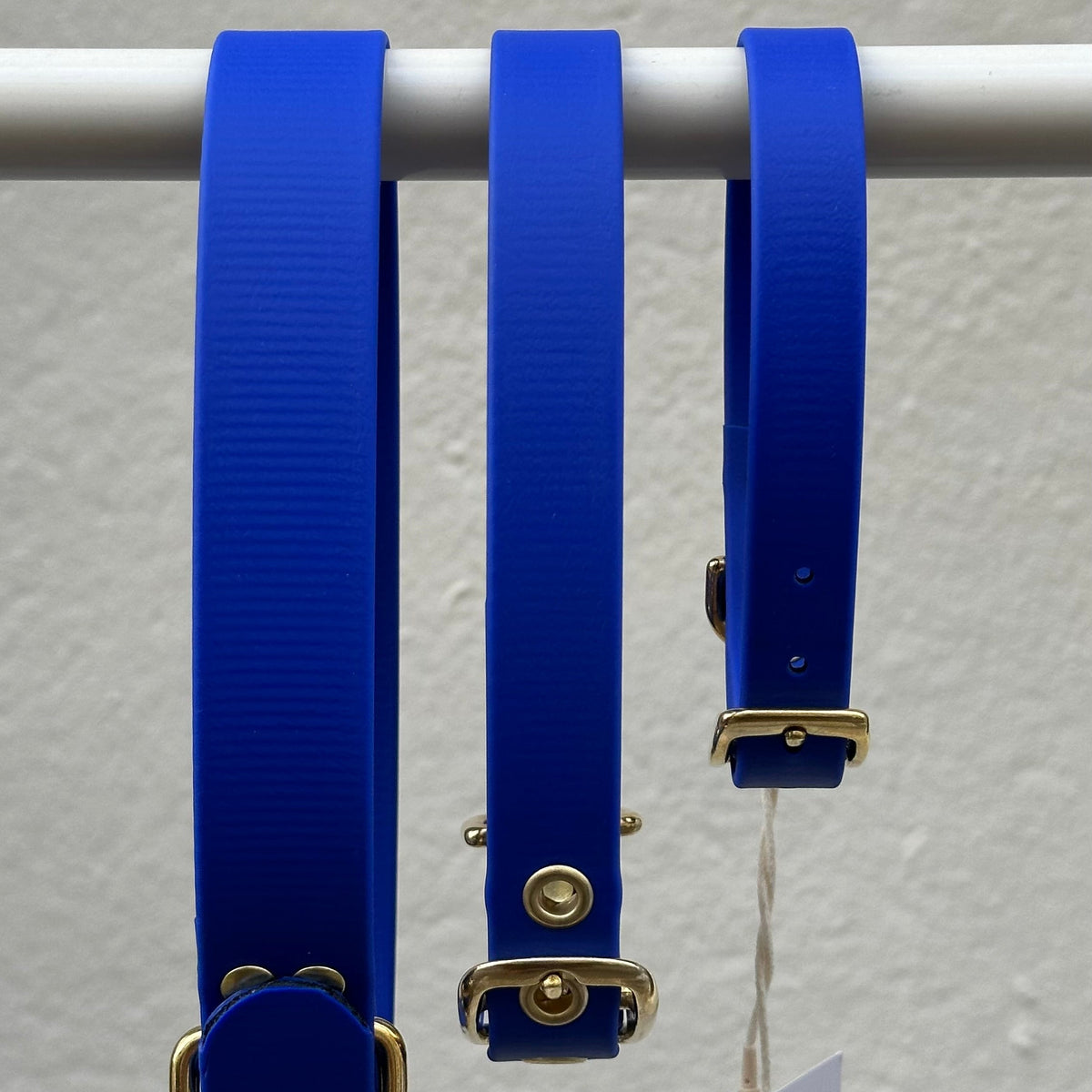 Collier chien en Biothane - Bleu roi - By Biche