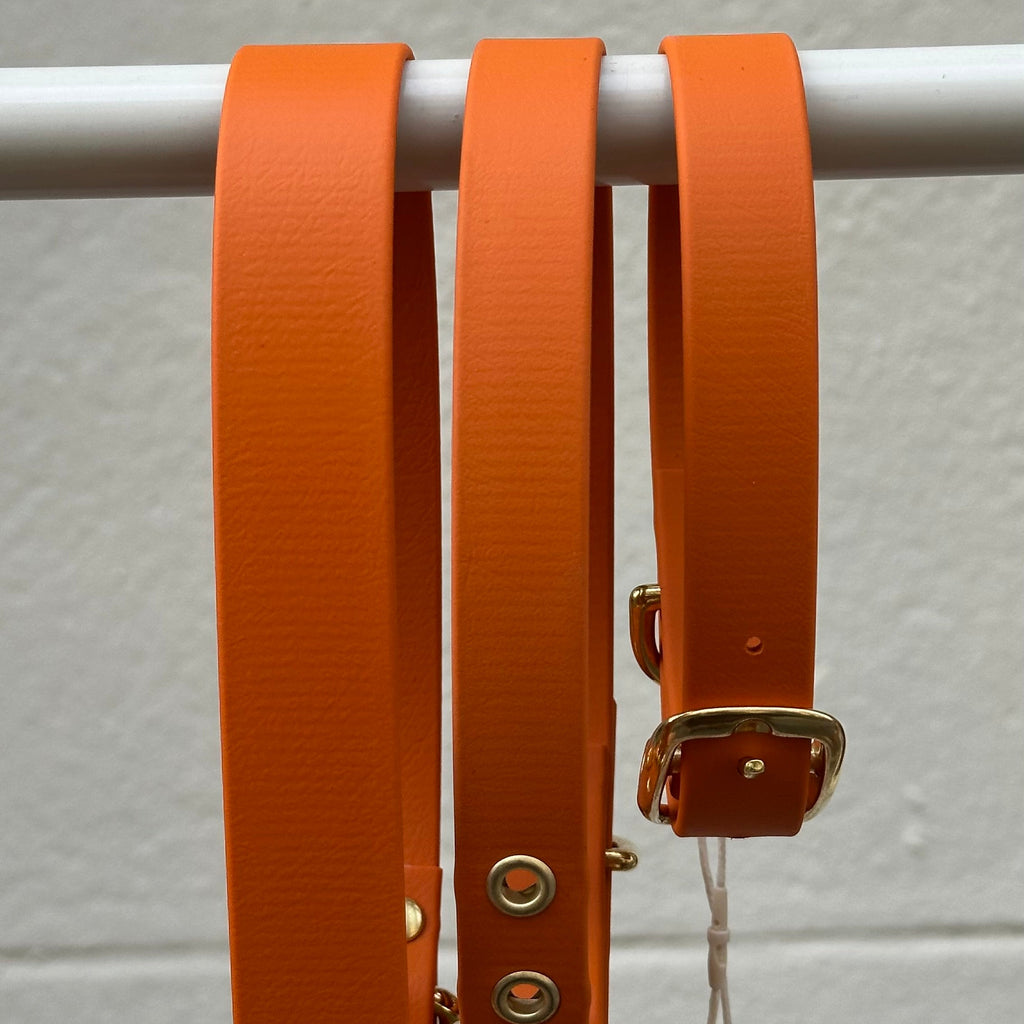 Collier chien en Biothane - Orange - By Biche