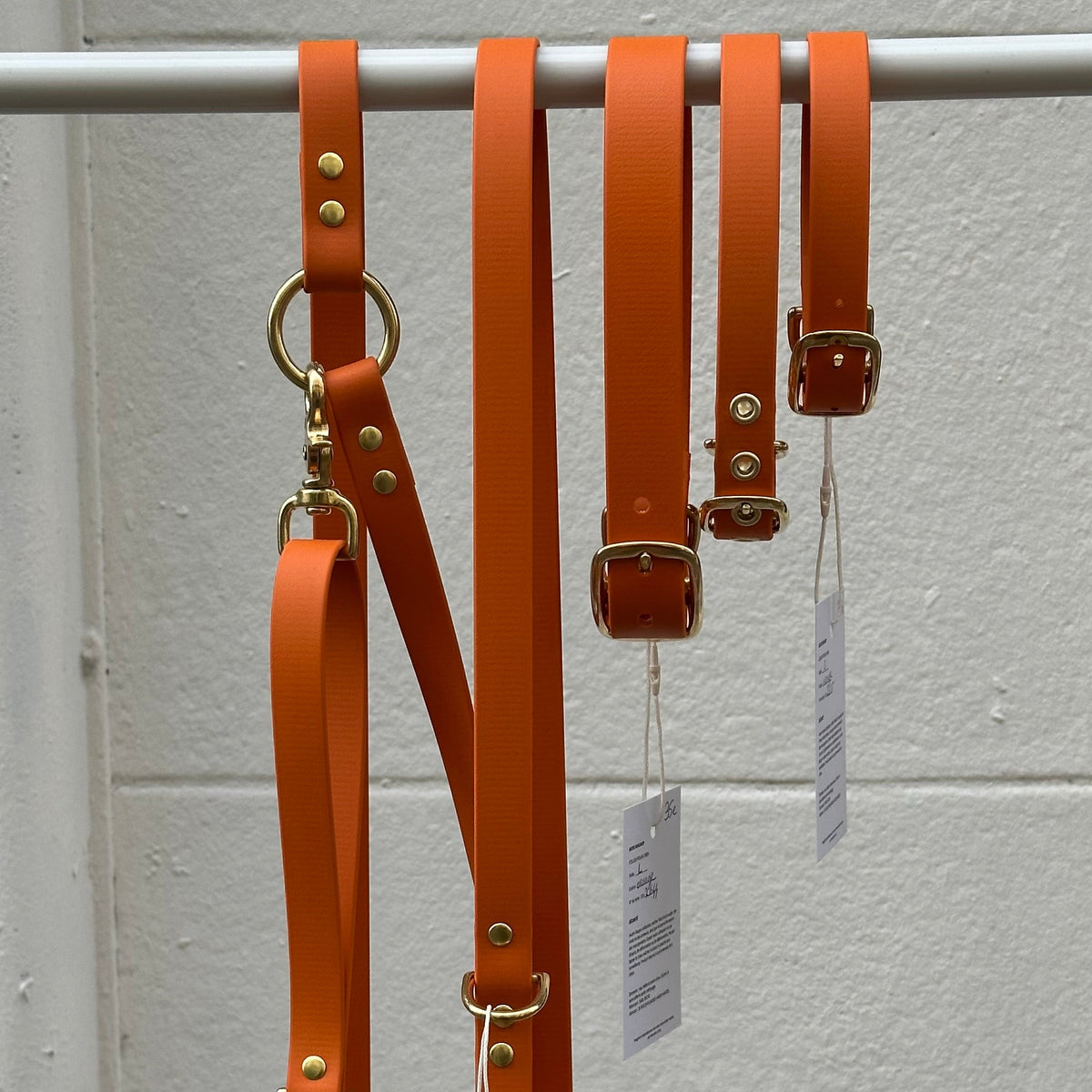 Collier chien en Biothane - Orange - By Biche