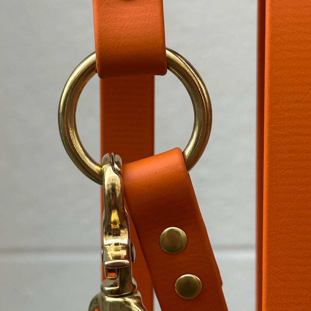 Collier chien en Biothane - Orange - By Biche