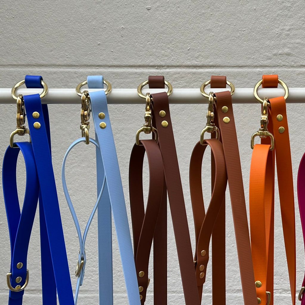Laisse multi-positions 240 cm - Fabrication Biche Dogshop