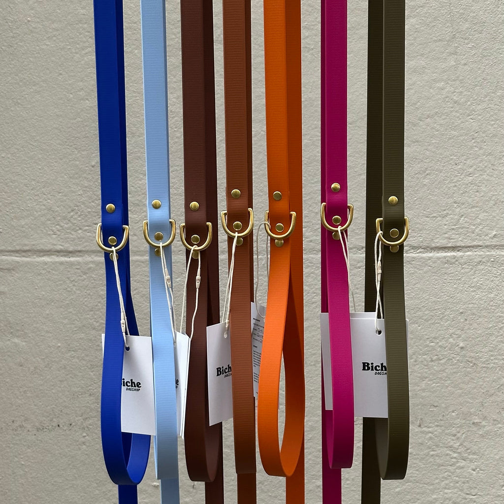Laisse simple Biothane - 140 cm - By Biche
