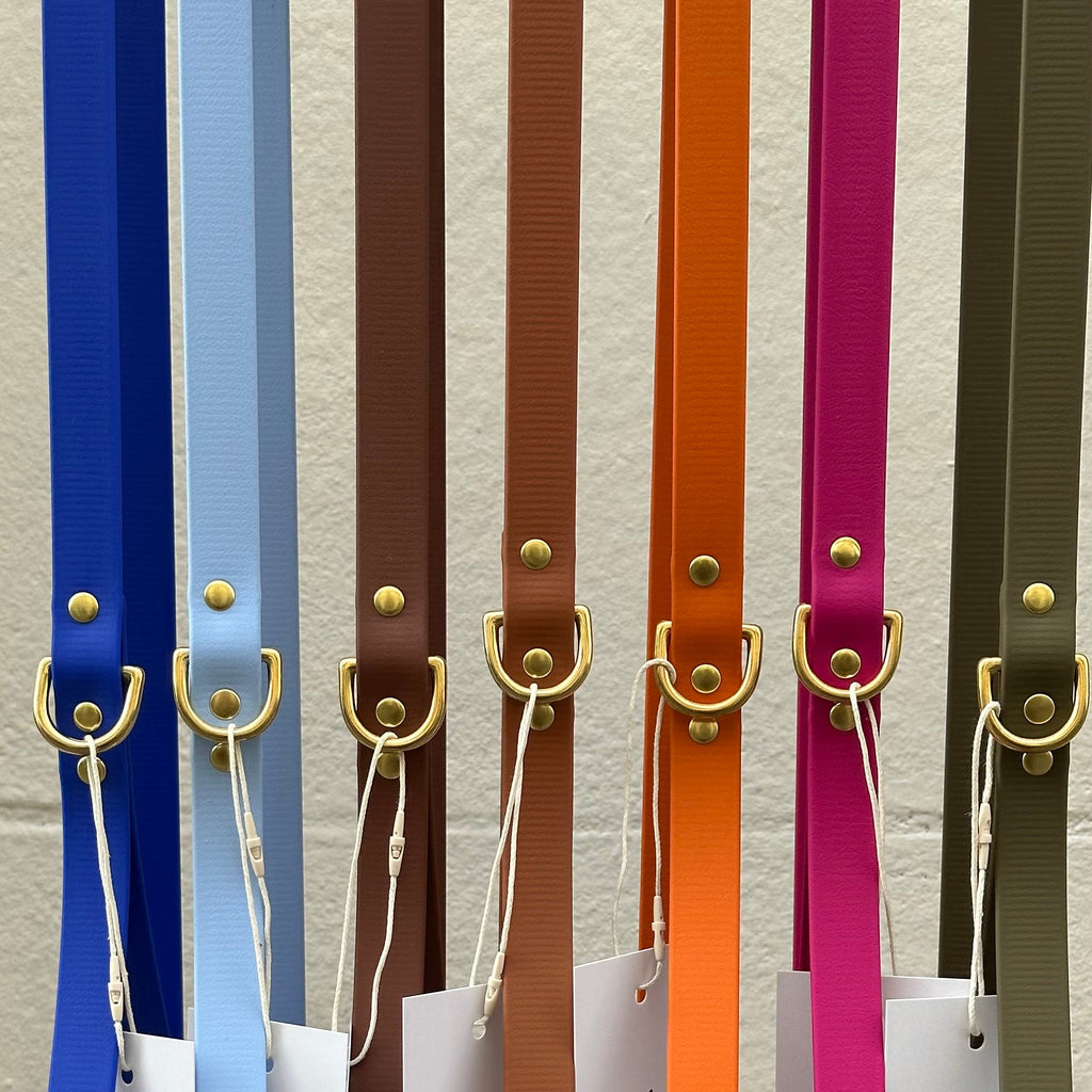 Laisse simple Biothane - 140 cm - By Biche