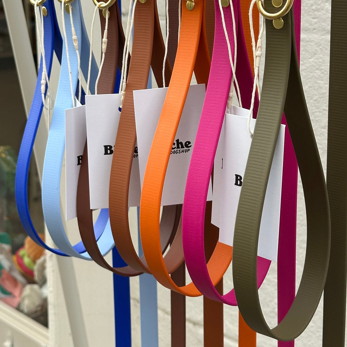 Laisse simple Biothane - 140 cm - By Biche