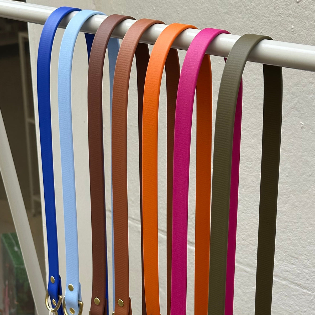 Laisse simple Biothane - 140 cm - By Biche