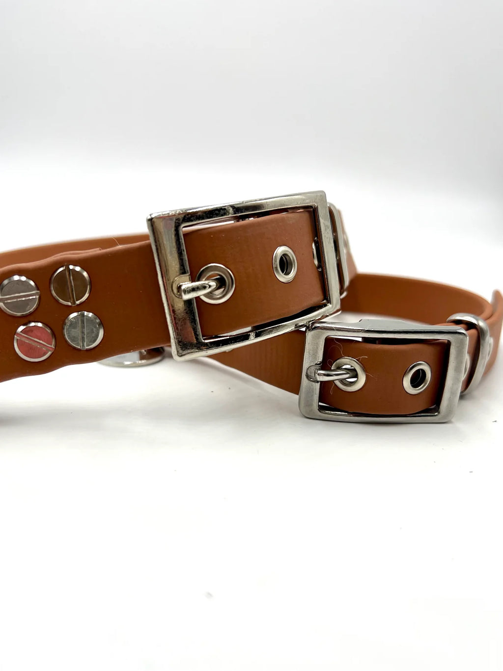 Collier chien St Germain - Marron - Toutou&Co Paris