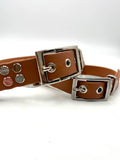 Collier chien St Germain - Marron - Toutou&Co Paris
