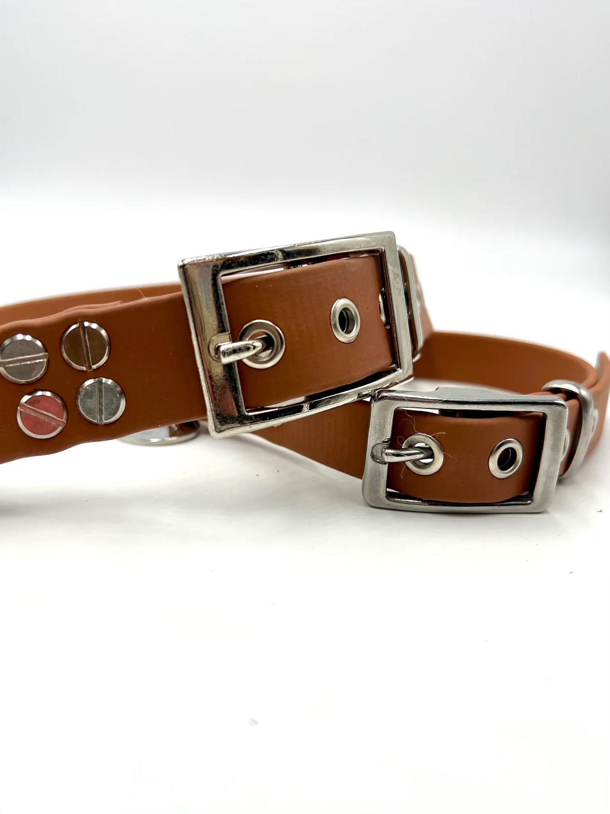Collier chien St Germain - Marron - Toutou&Co Paris