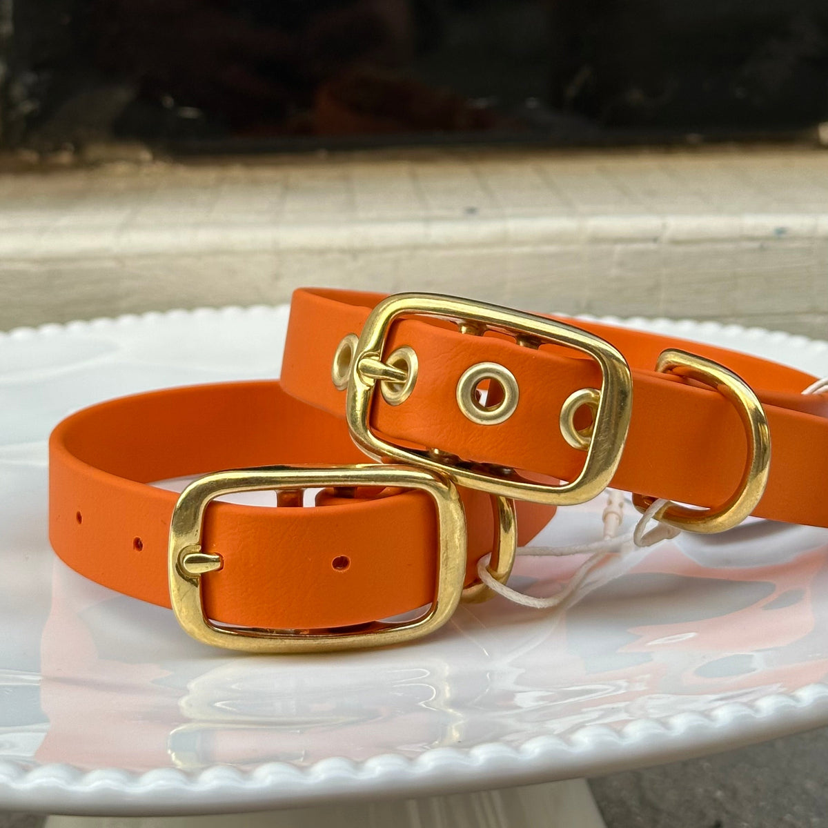 Collier chien en Biothane - Orange - By Biche