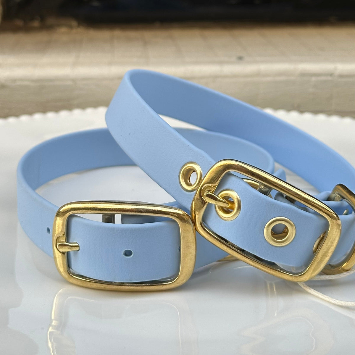 Collier chien en Biothane - Bleu ciel - By Biche