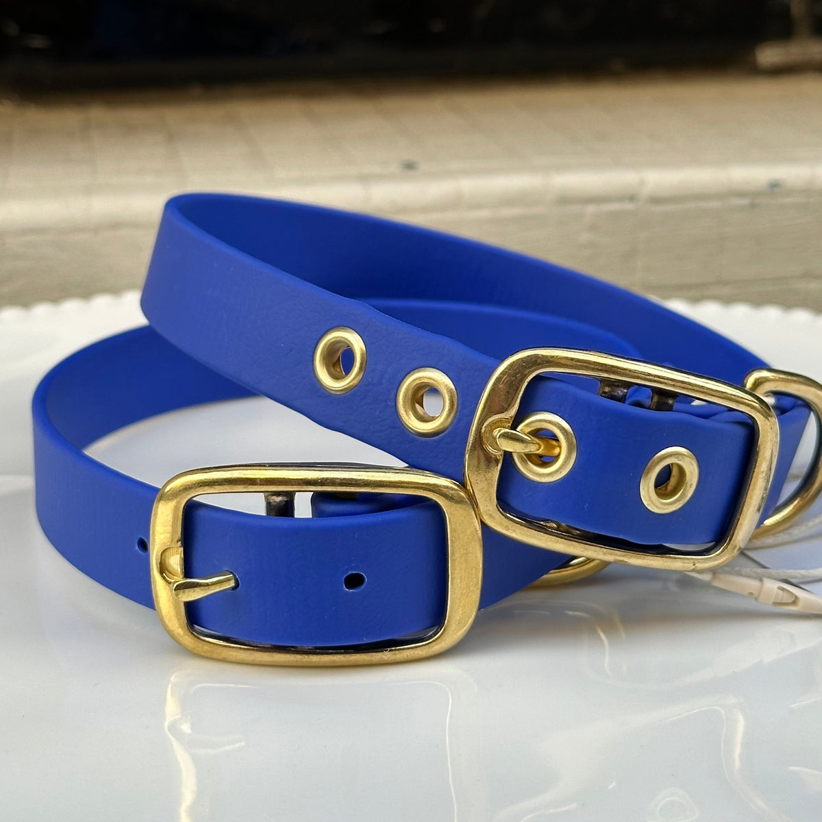 Collier chien en Biothane - Bleu roi - By Biche