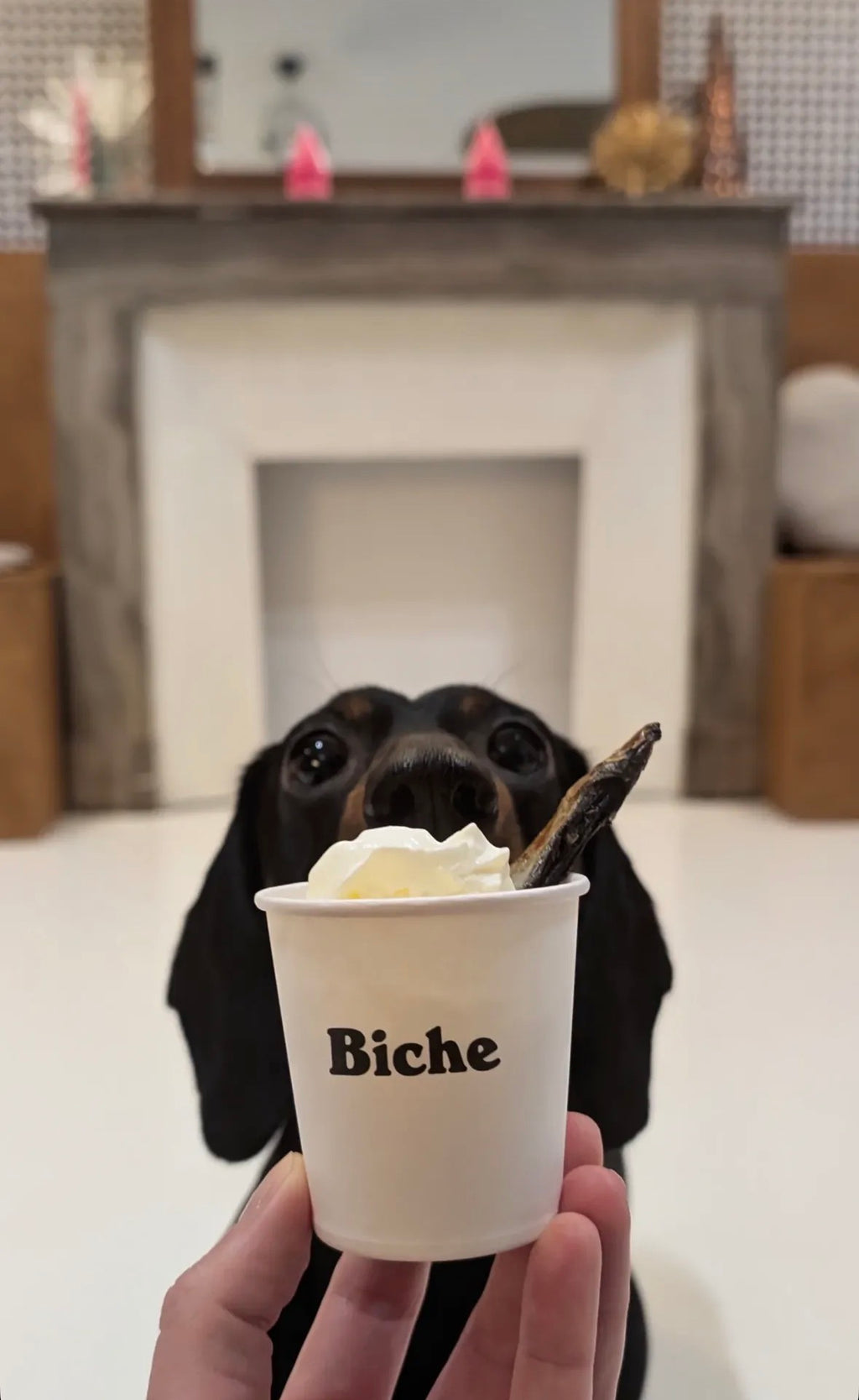 Frappadog