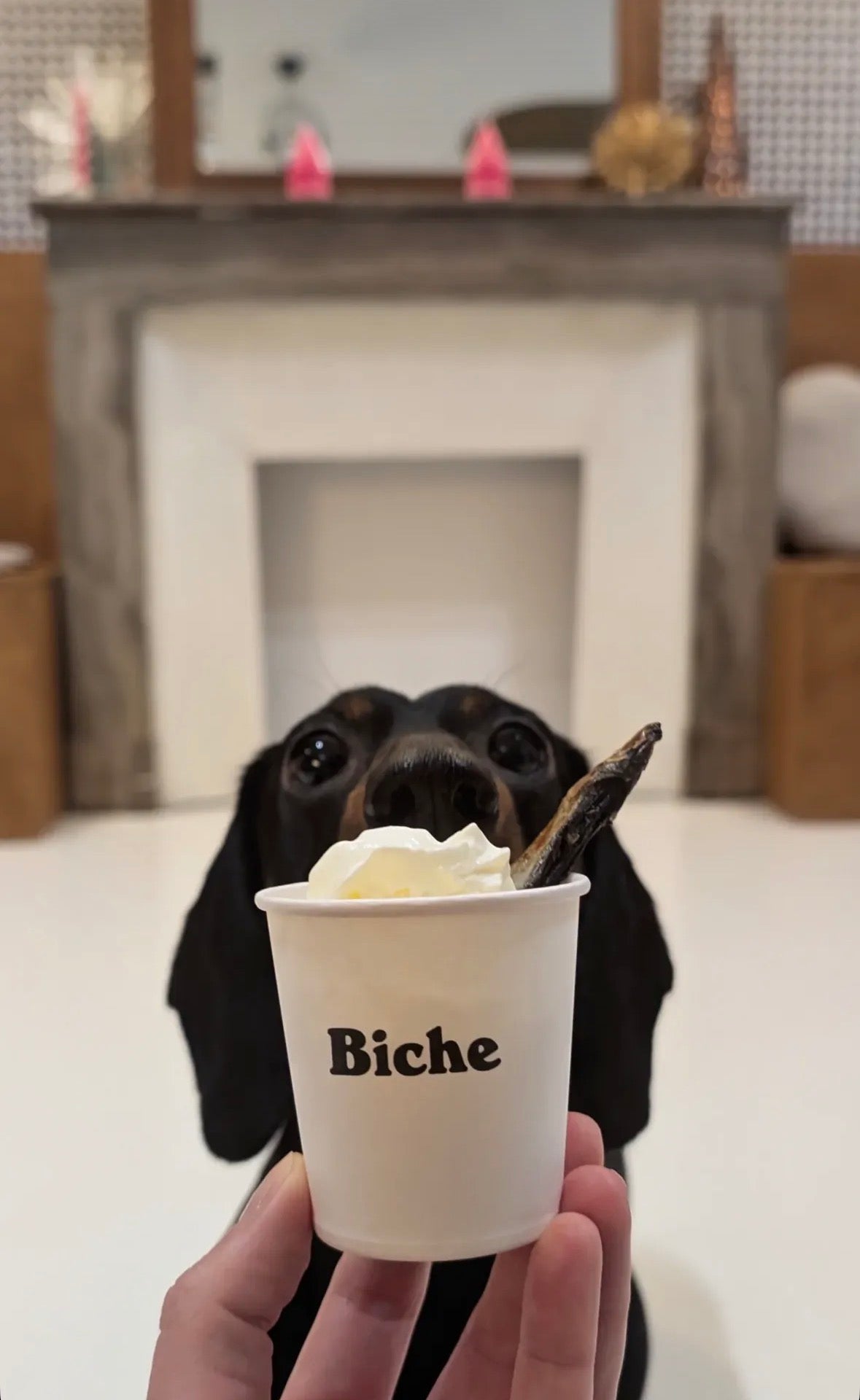 Frappadog