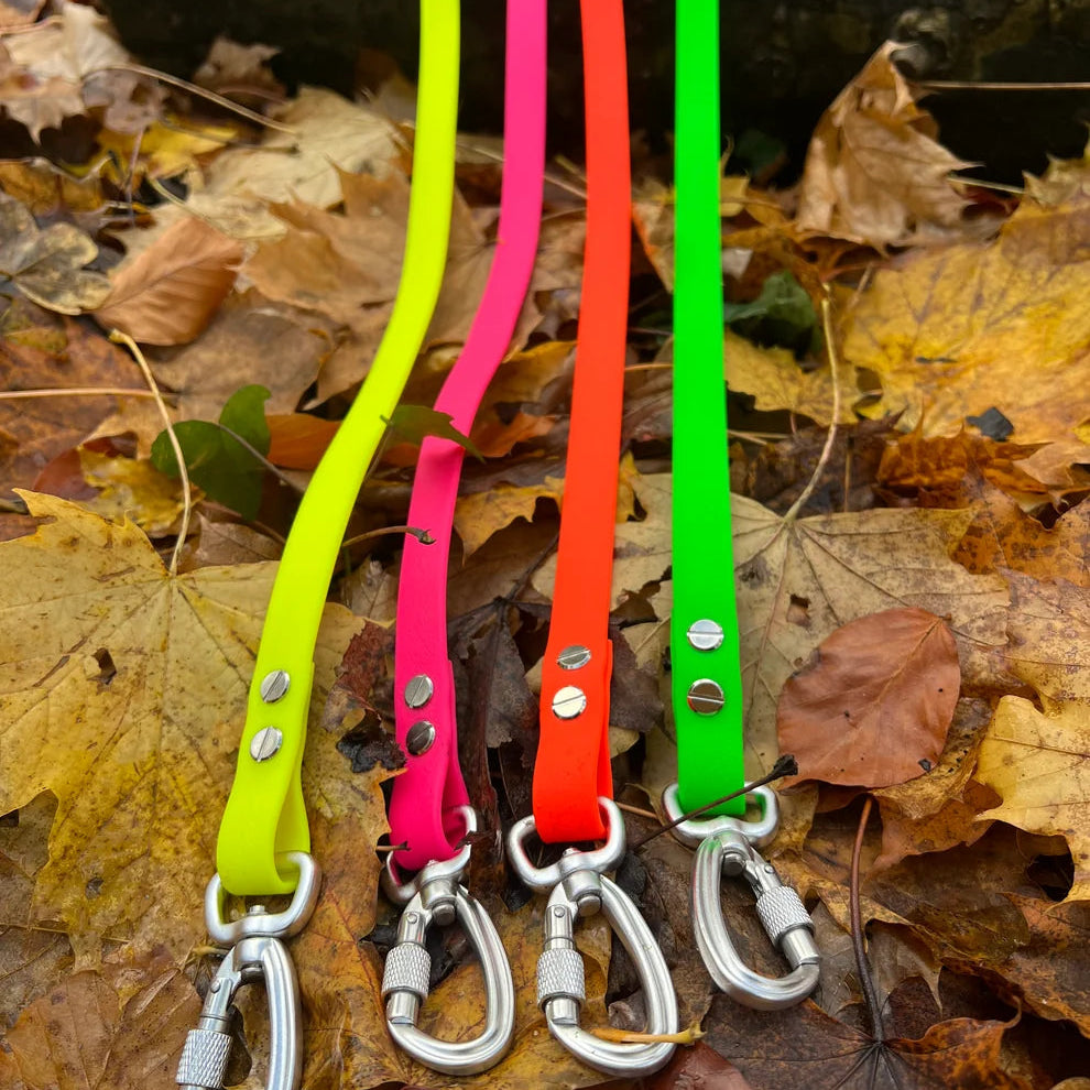 Longe pour chien 5 m - Toutou&Co
