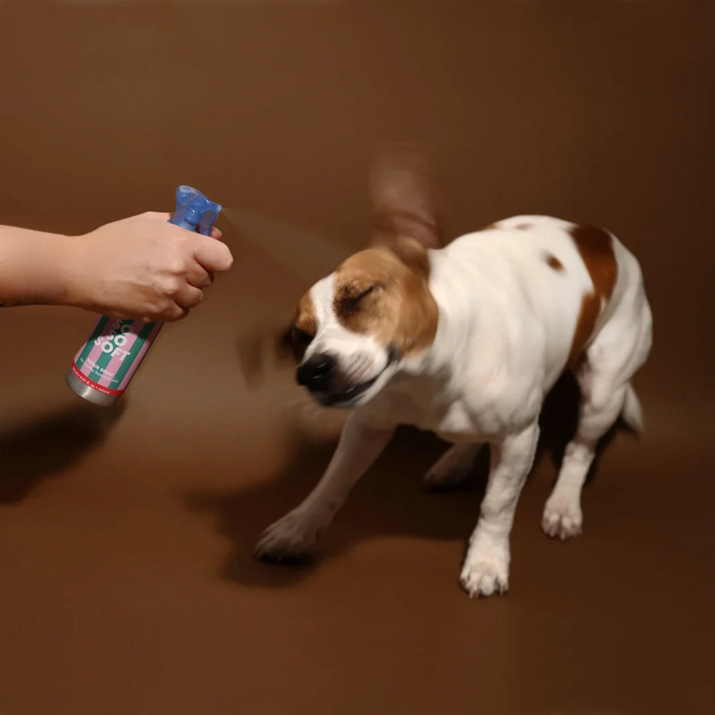 Spray démêlant "So So Soft" 150 ml - JAMPY