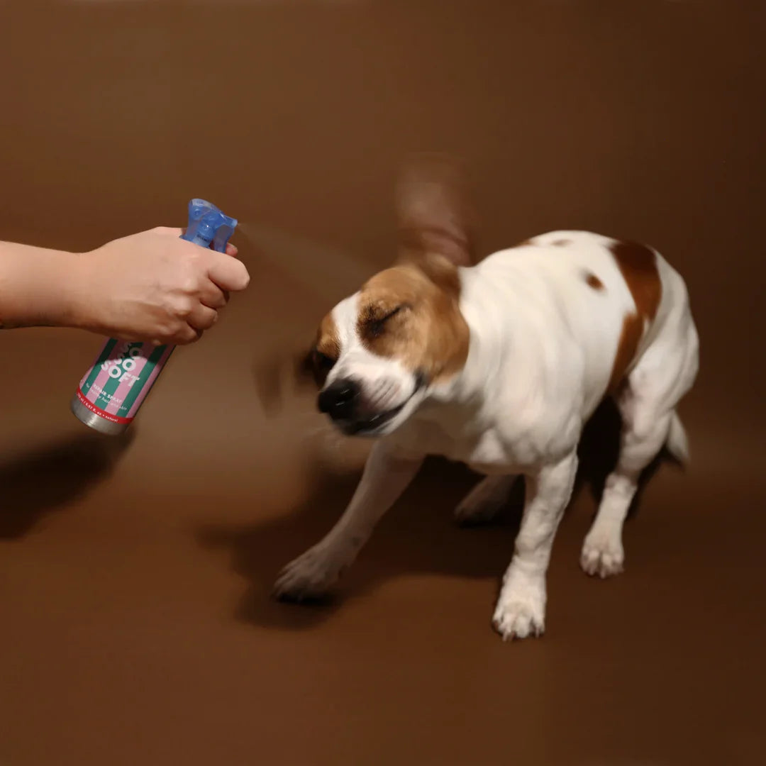 Spray démêlant "So So Soft" 150 ml - JAMPY