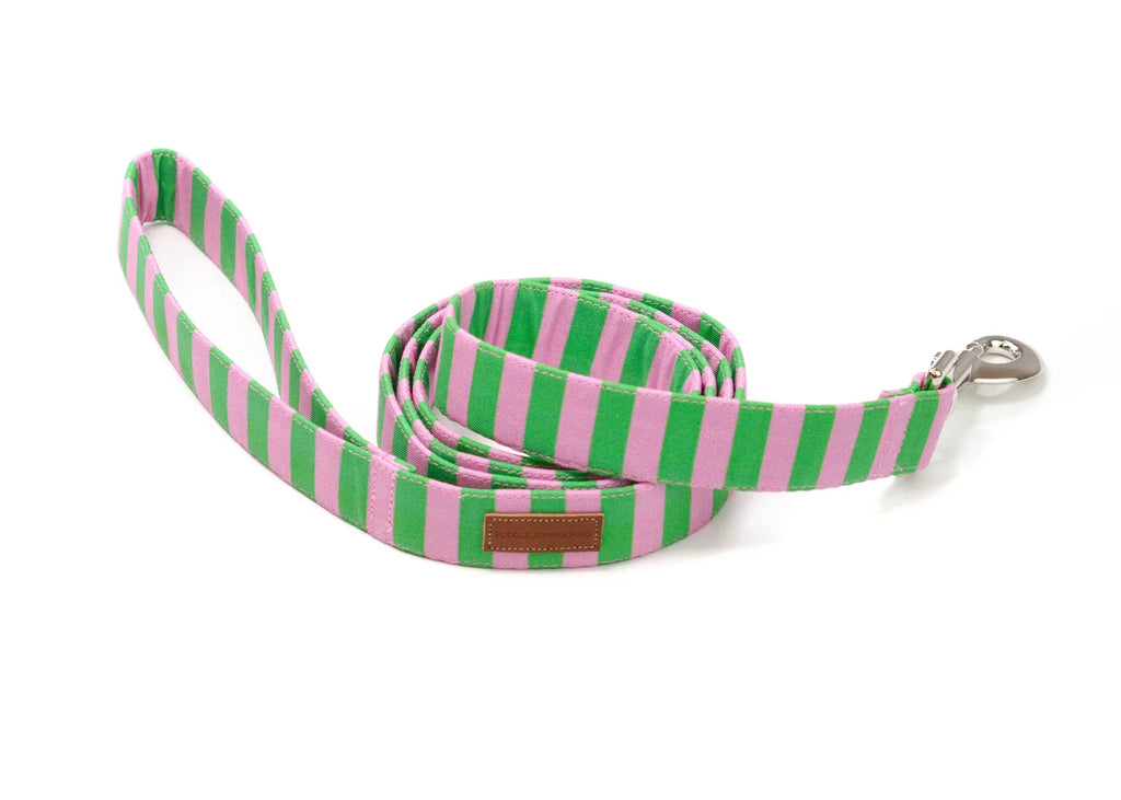 Laisse avec poignée de circulation - Vert & Rose  - Puddle Jumper Pups