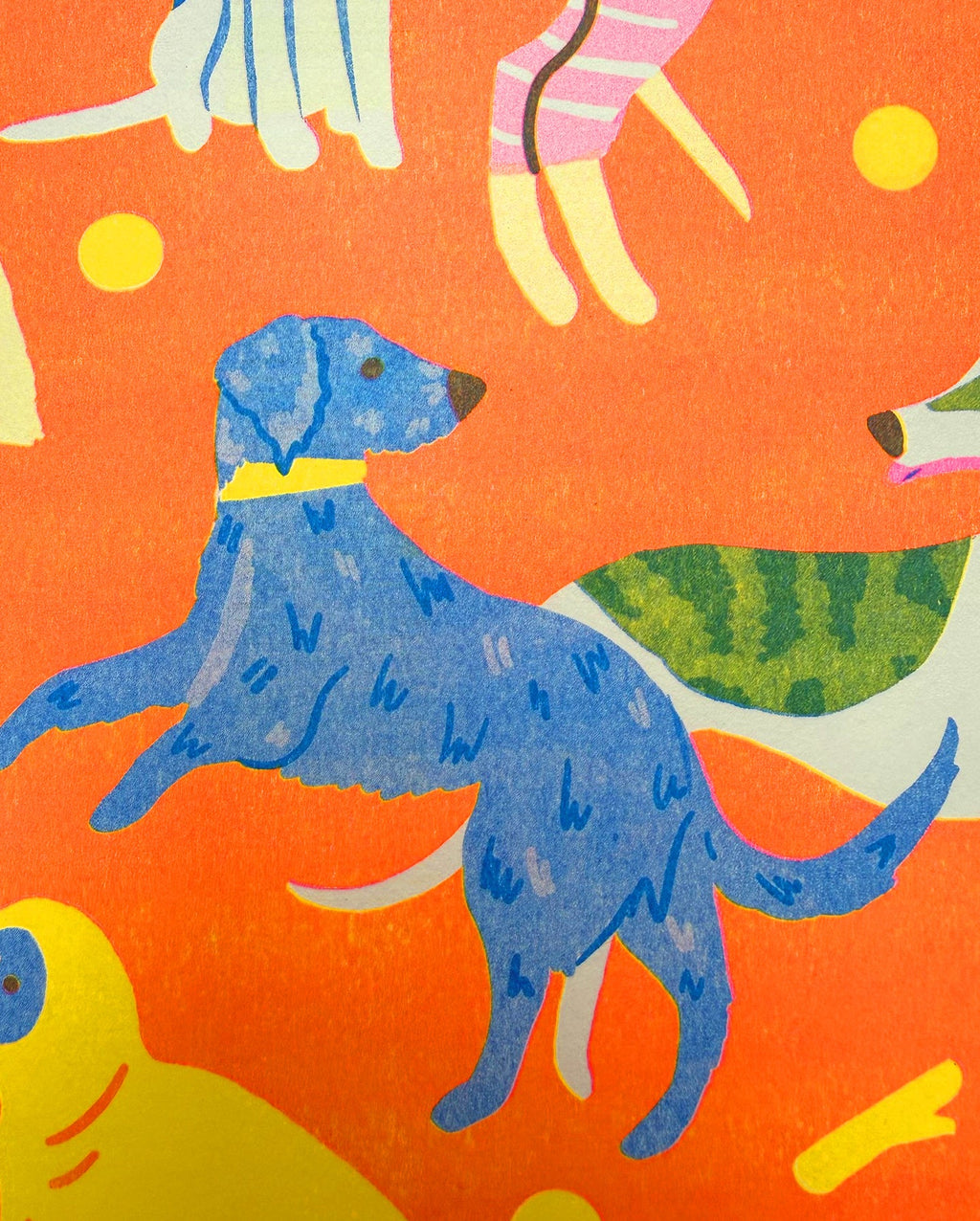 Affiche Chiens Sight Hound – Naomi Wilkinson