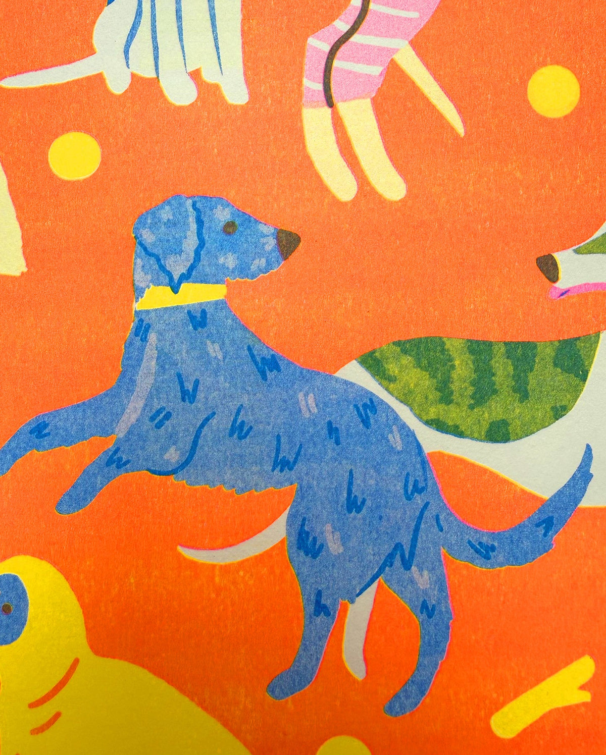 Affiche Chiens Sight Hound – Naomi Wilkinson