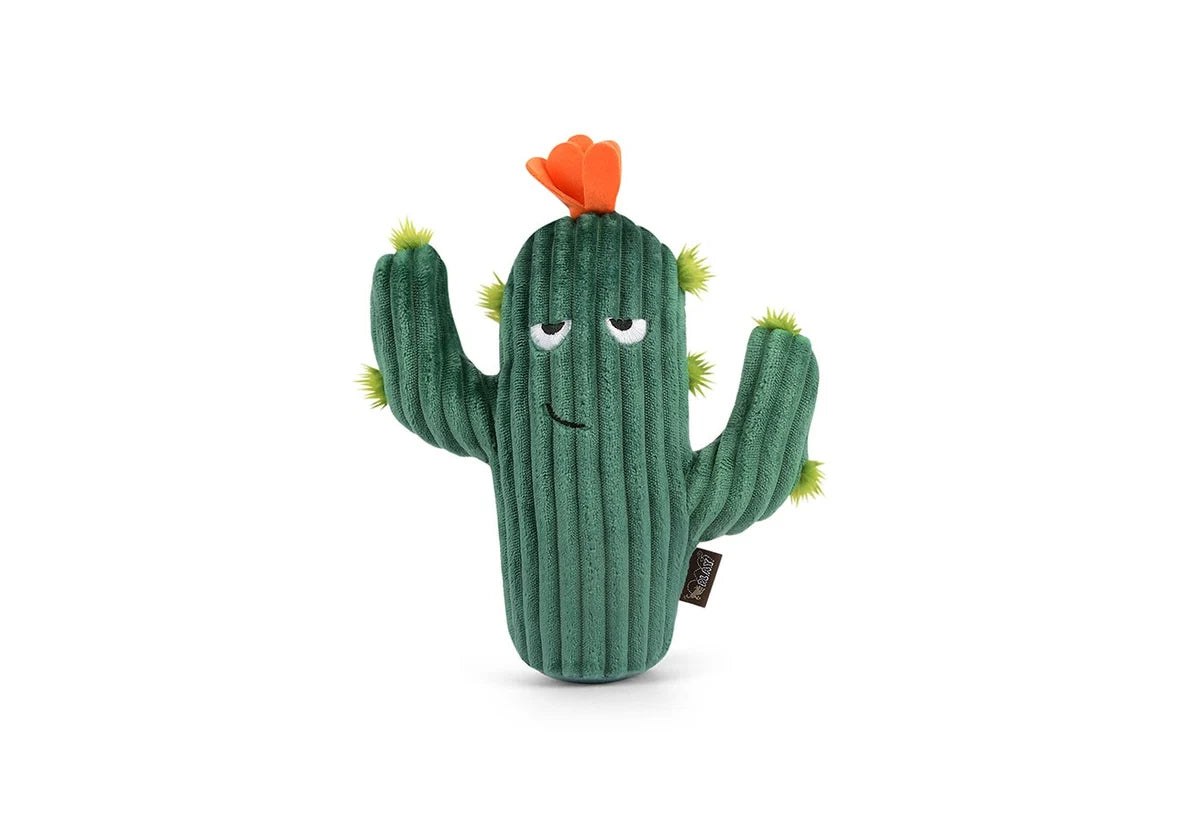 Jouet cactus Blooming Buddies - P.L.A.Y.