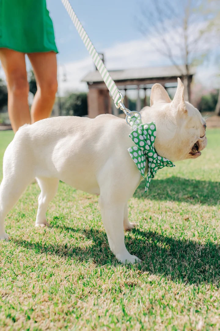 Laisse avec poignée de circulation - Vert & Rose  - Puddle Jumper Pups