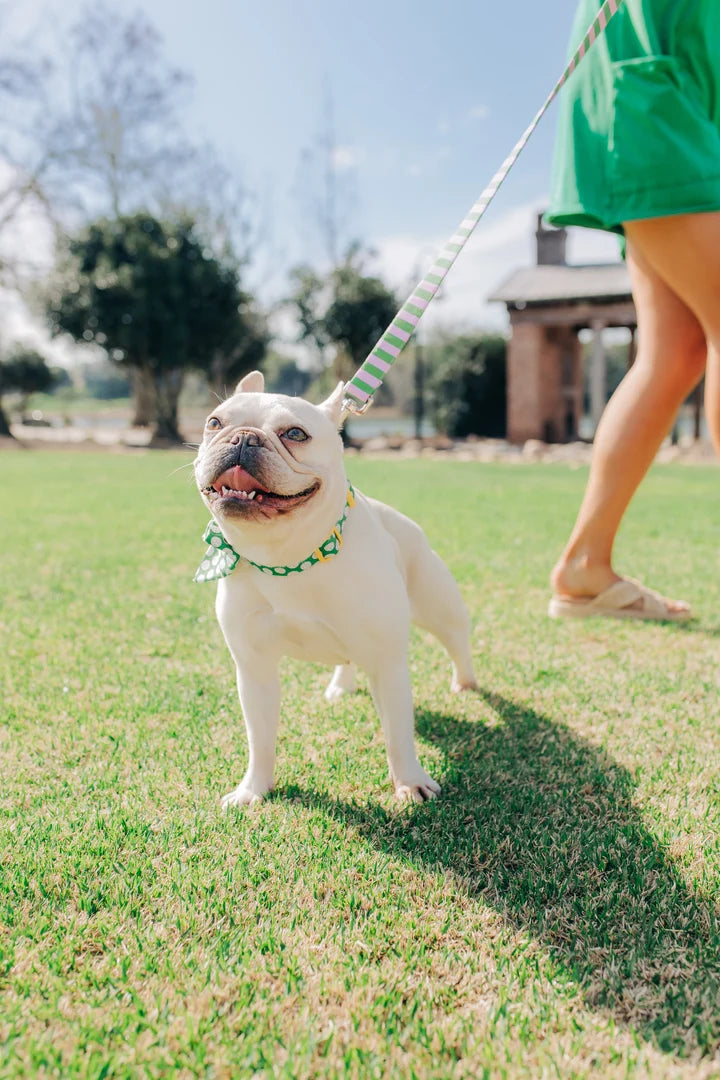 Laisse avec poignée de circulation - Vert & Rose  - Puddle Jumper Pups