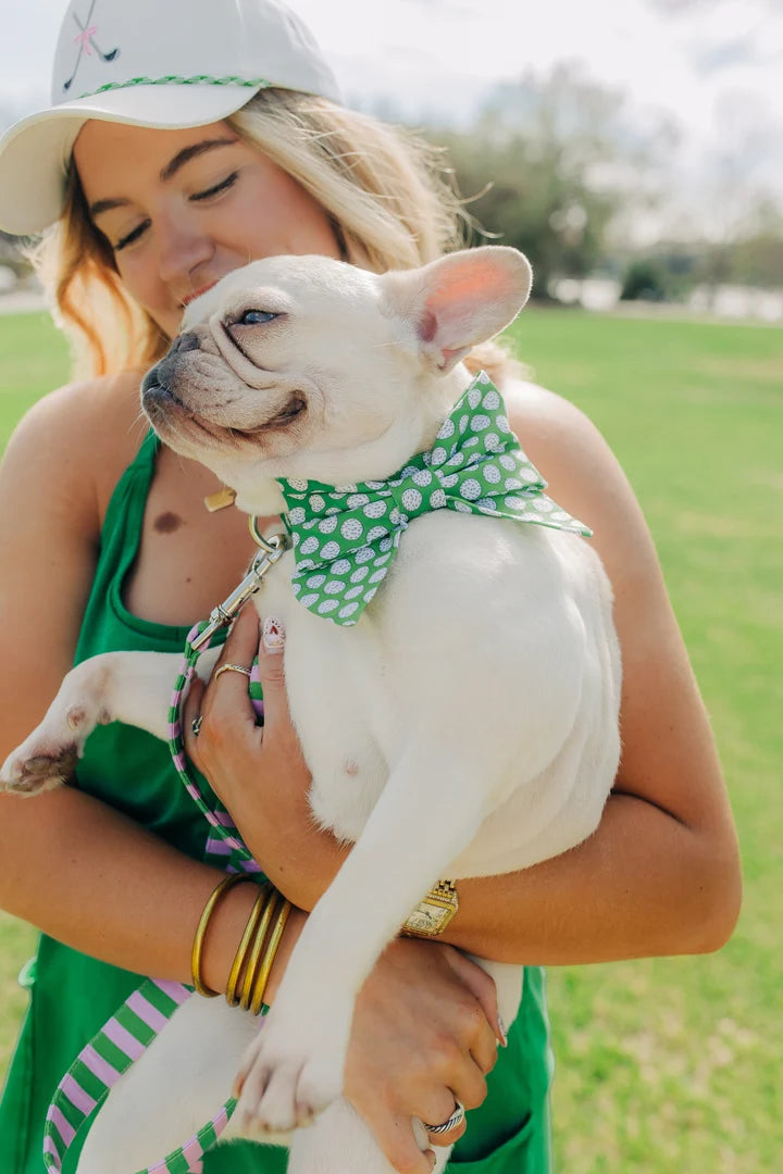 Laisse avec poignée de circulation - Vert & Rose  - Puddle Jumper Pups