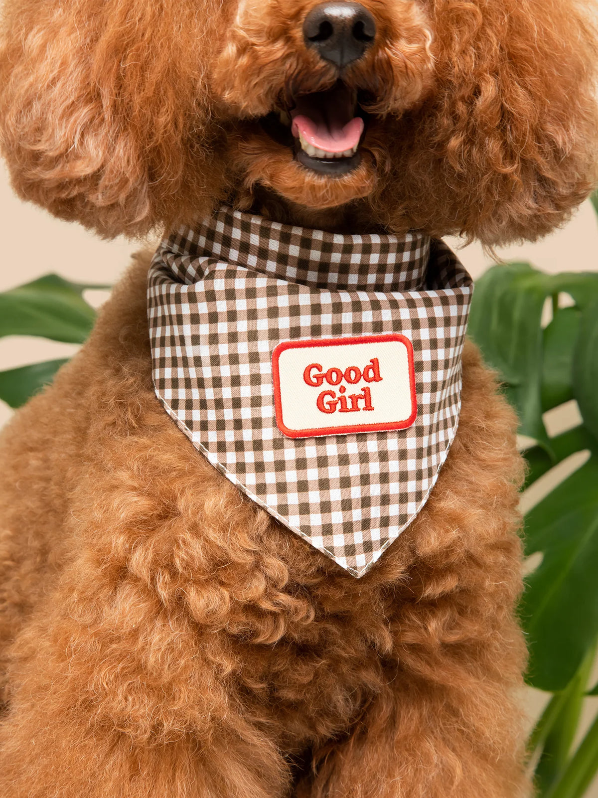 Good Girl – Patch thermocollant pour chien - Scout's Honour
