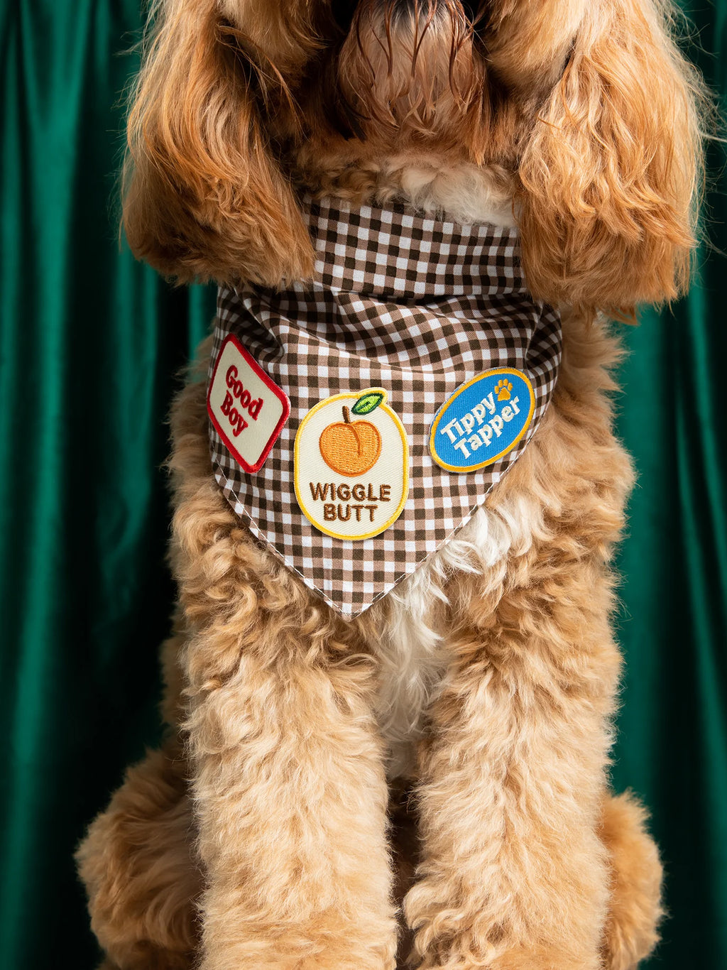 Good Girl – Patch thermocollant pour chien - Scout's Honour