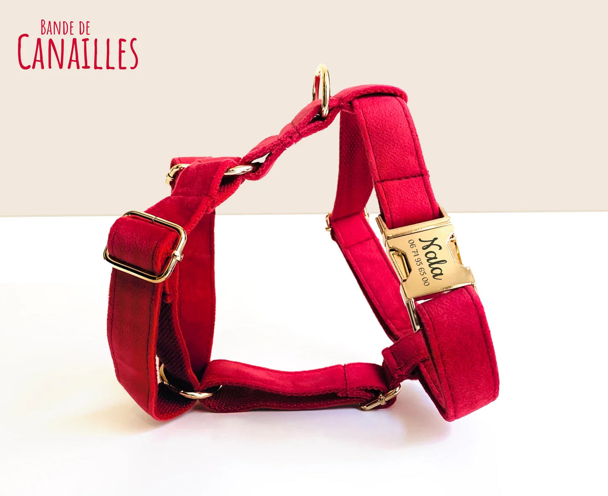 Harnais – Velours Lisse Rouge – Bandes de Canailles