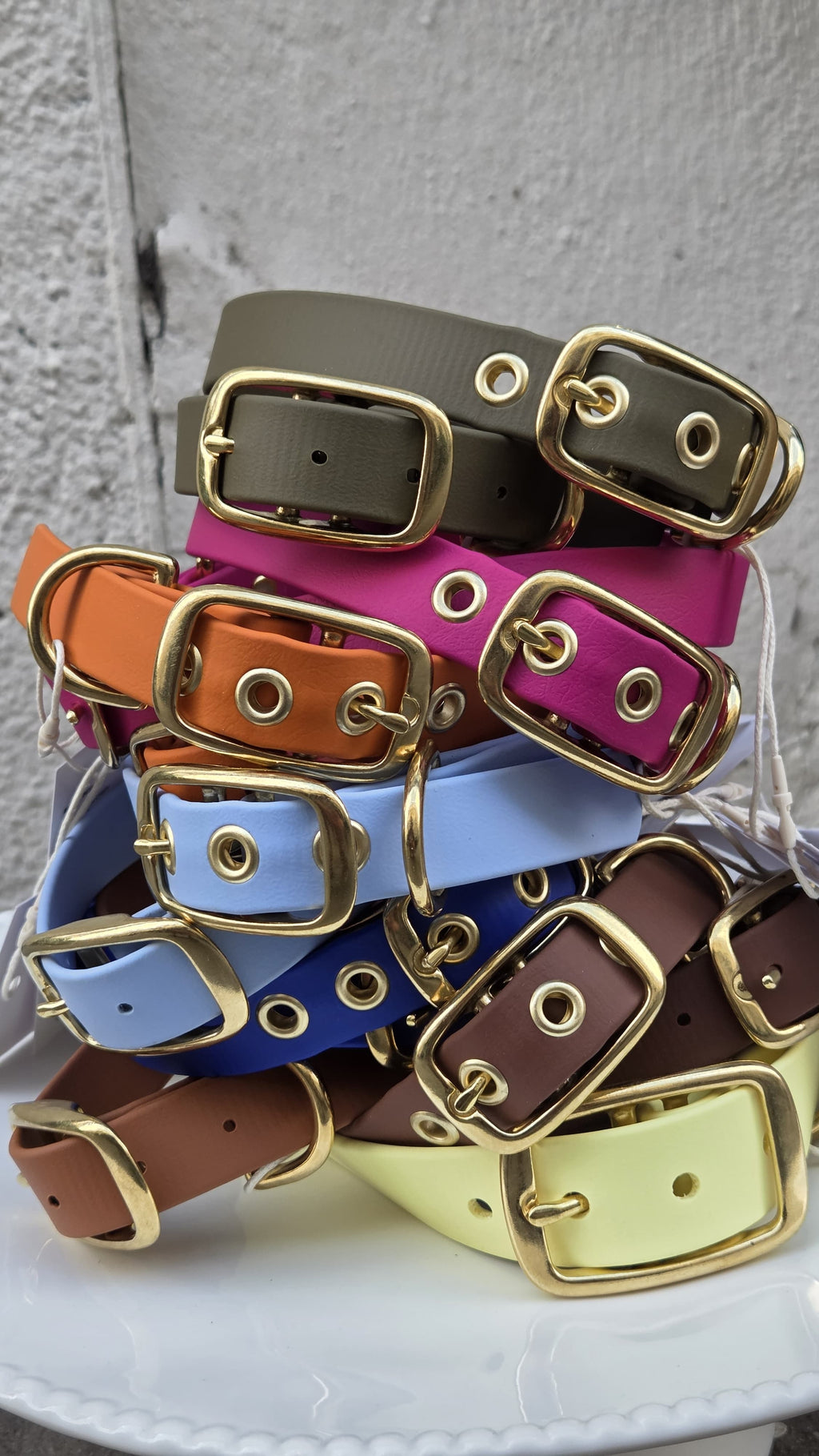 Collier chien en Biothane - Chocolat - By Biche