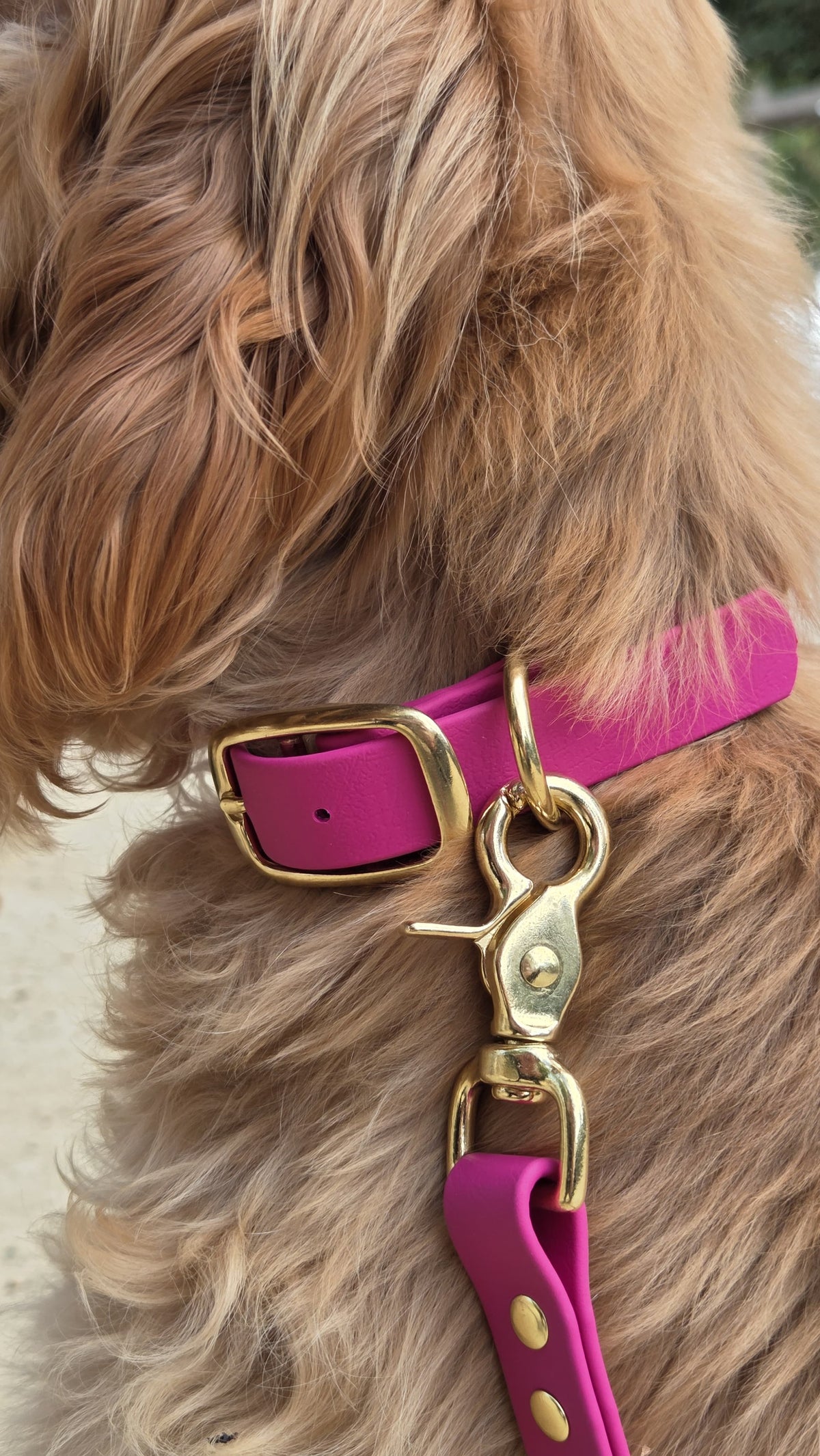 Collier chien en Biothane - Fushia - By Biche