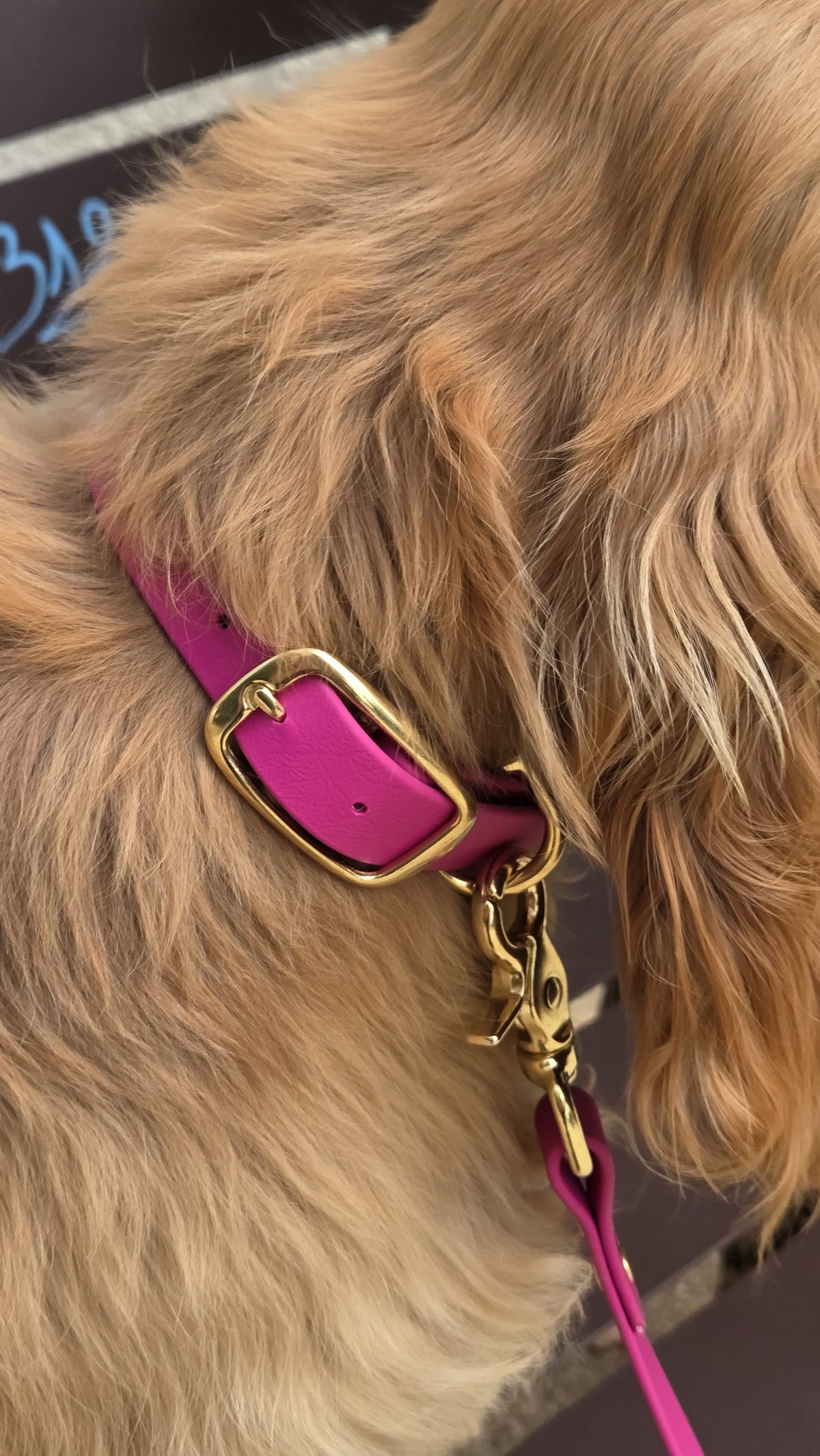 Collier chien en Biothane - Chocolat - By Biche
