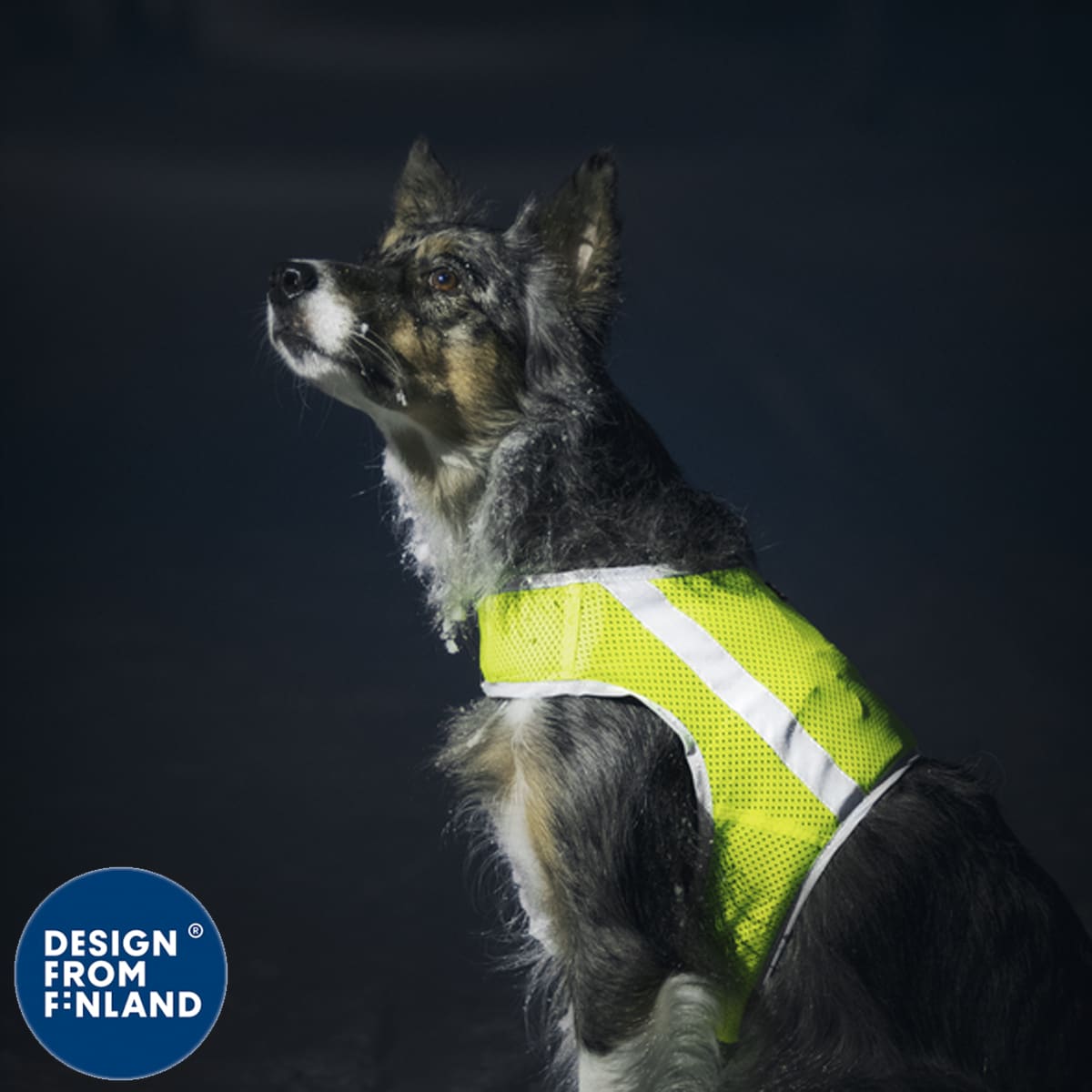 Gilet fluo chien – Finnero ATTE
