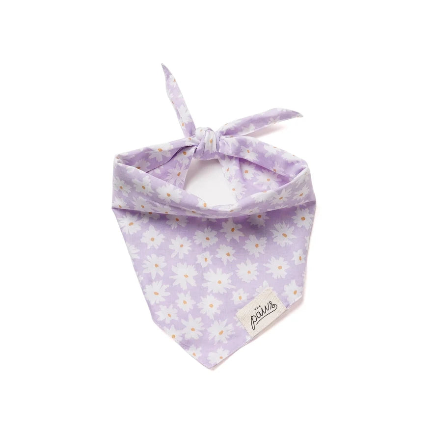 Bandana pour chien - Fleur violet - The Paws
