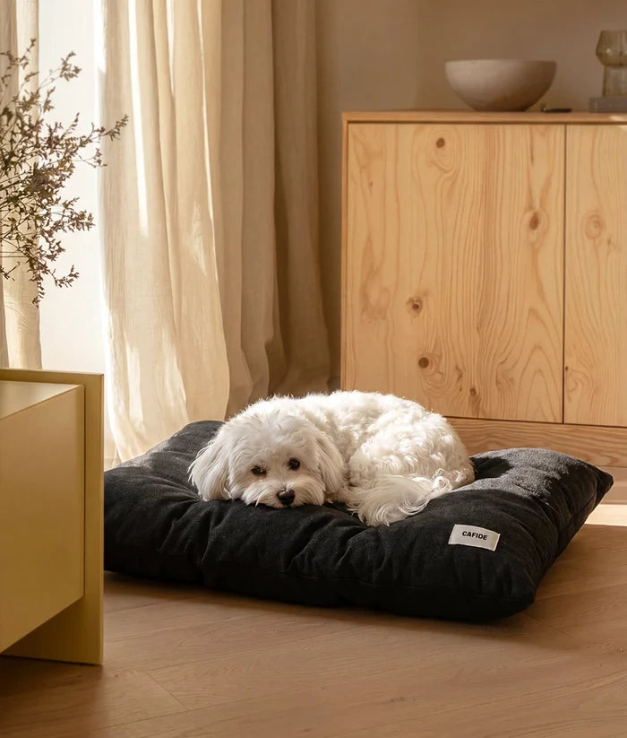 Coussin pour chien – Anthracite - Cafide