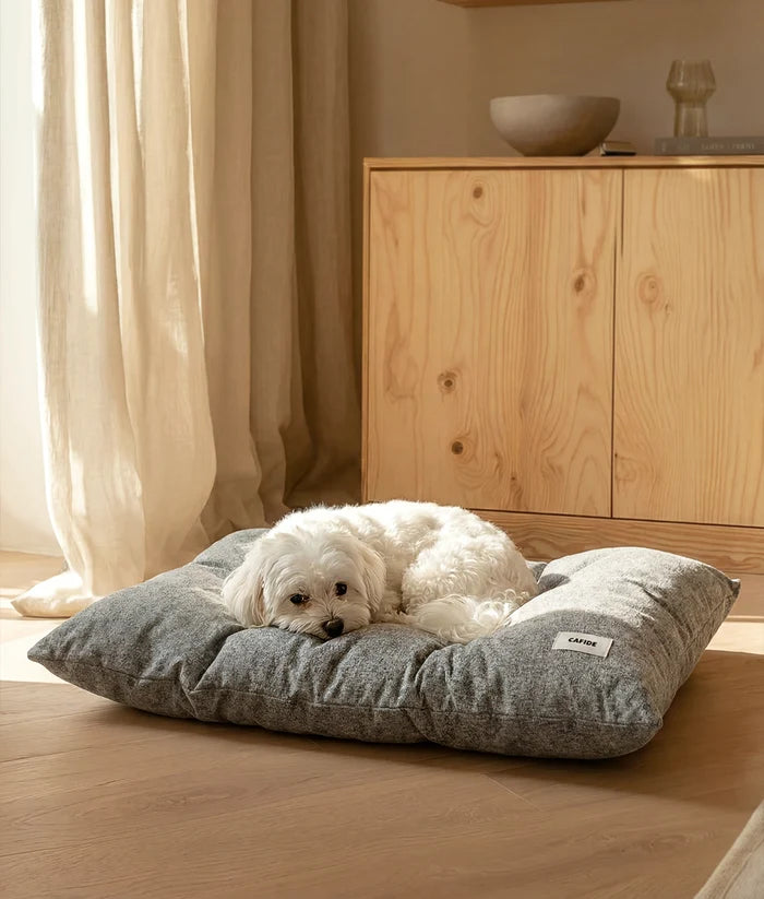 Coussin pour chien – Gris - Cafide