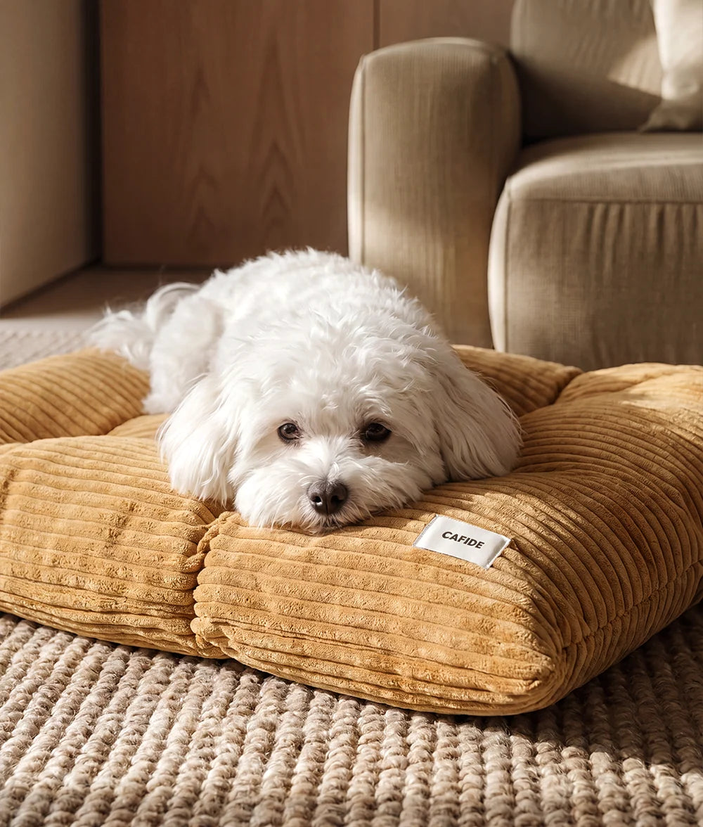 Coussin pour chien – Velours côtelé moutarde - Cafide