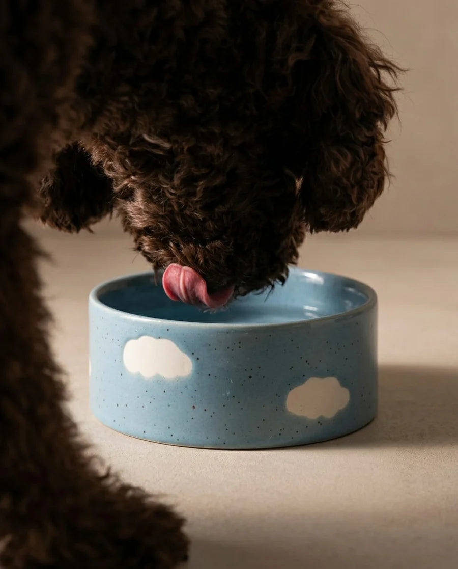 Gamelle nuage - Bleu - Egg Back Home