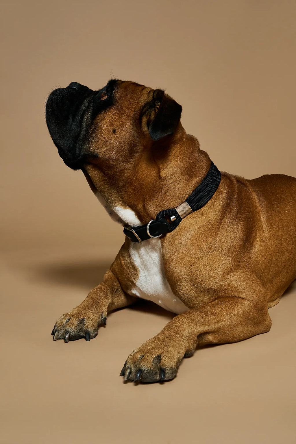 Collier chien - Noir - Atelier Markiz