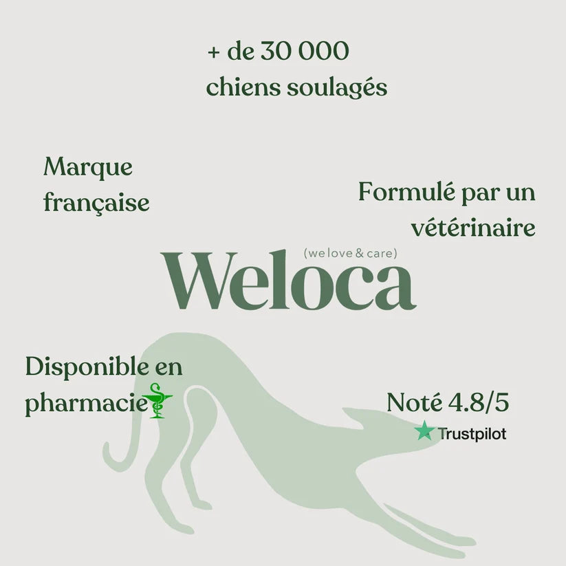 Complément digestion - Weloca