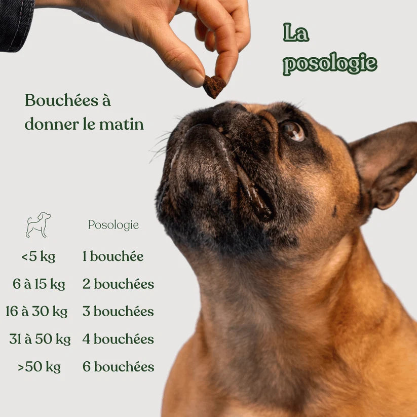 Complément digestion - Weloca