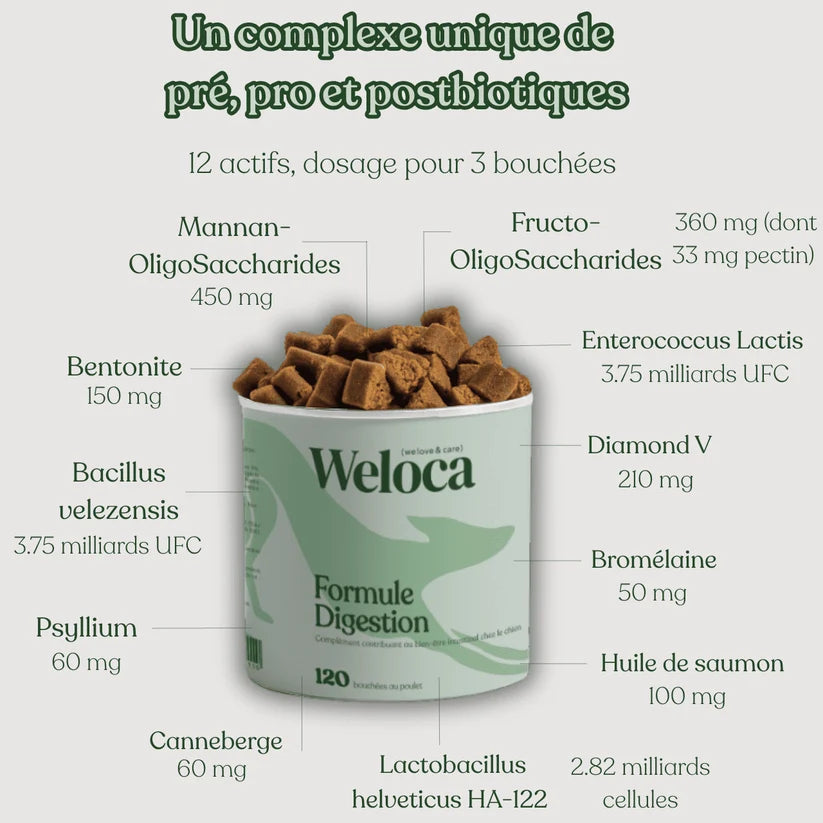 Complément digestion - Weloca