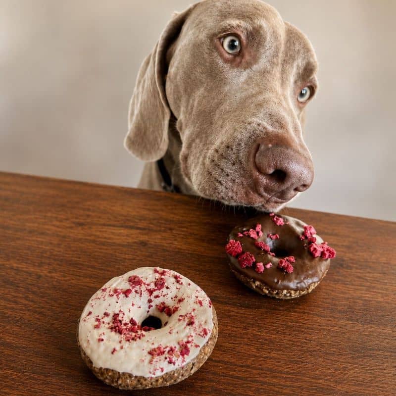 Donut gourmand unitaire – Cooka’s Cookies