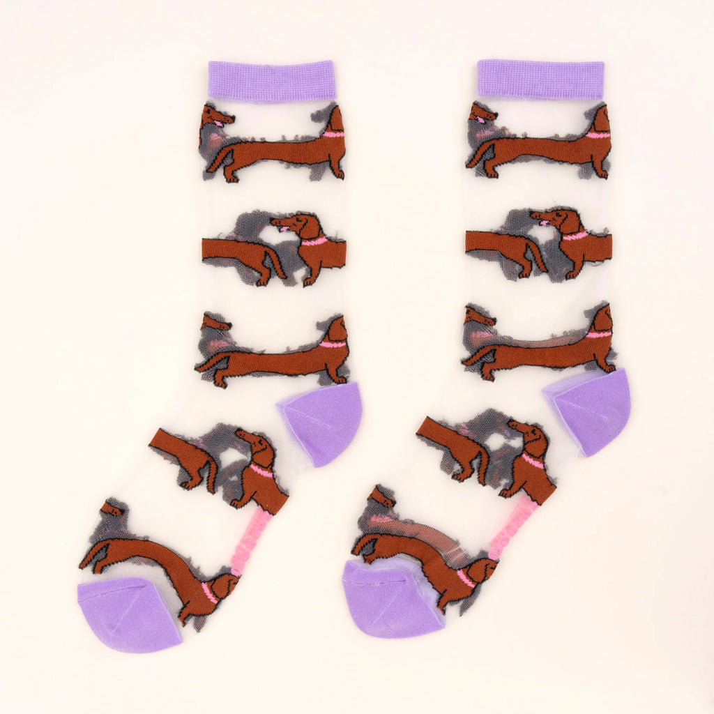 Chaussettes transparentes Teckel - Coucou Suzette