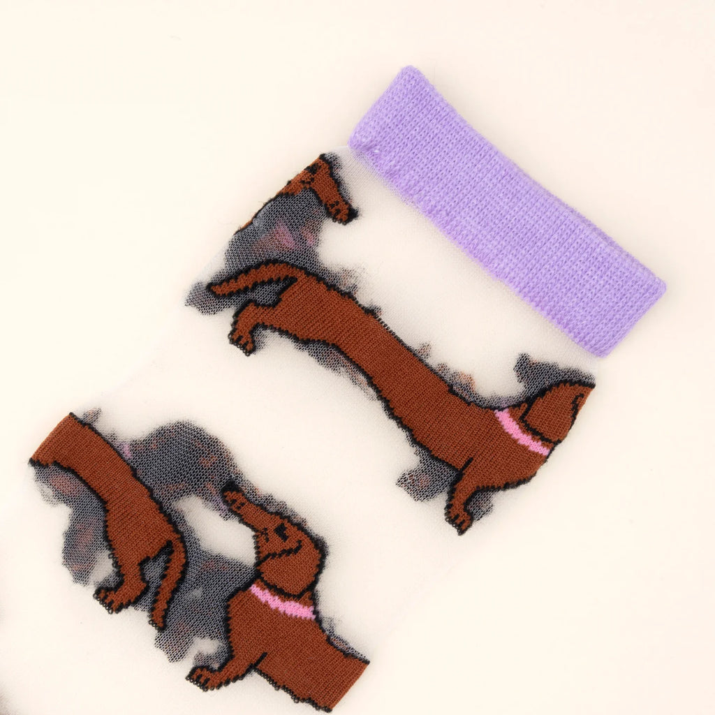 Chaussettes transparentes Teckel - Coucou Suzette